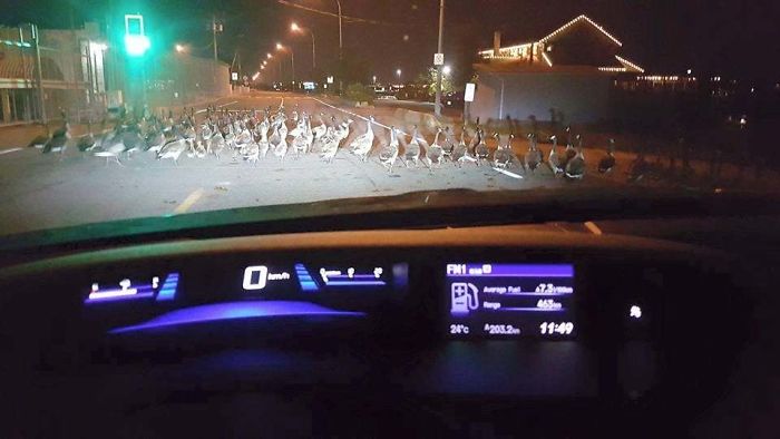 5d418cb7872f7 ZUAbfjvivFboKPkaE2S2sI8Pja0U1LXdRGlohFA6TSU 700 5d4d4143162c9 700