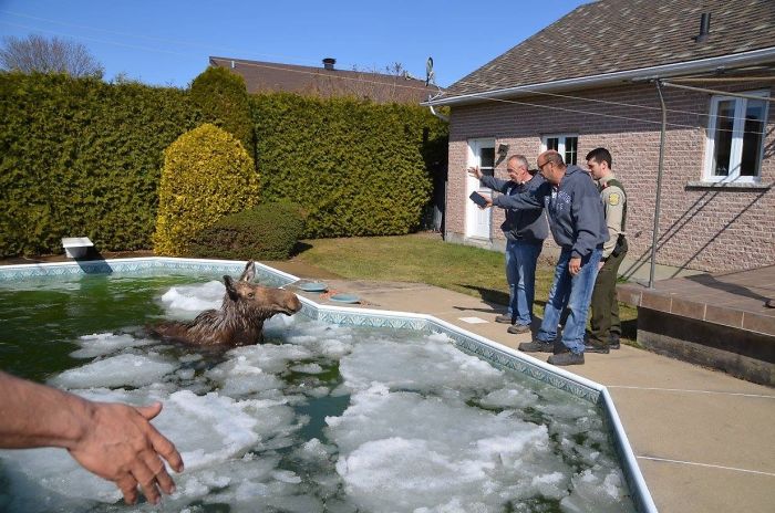 5d492b26b4507 vlXGoTw 700 5d4d4105c59af 700