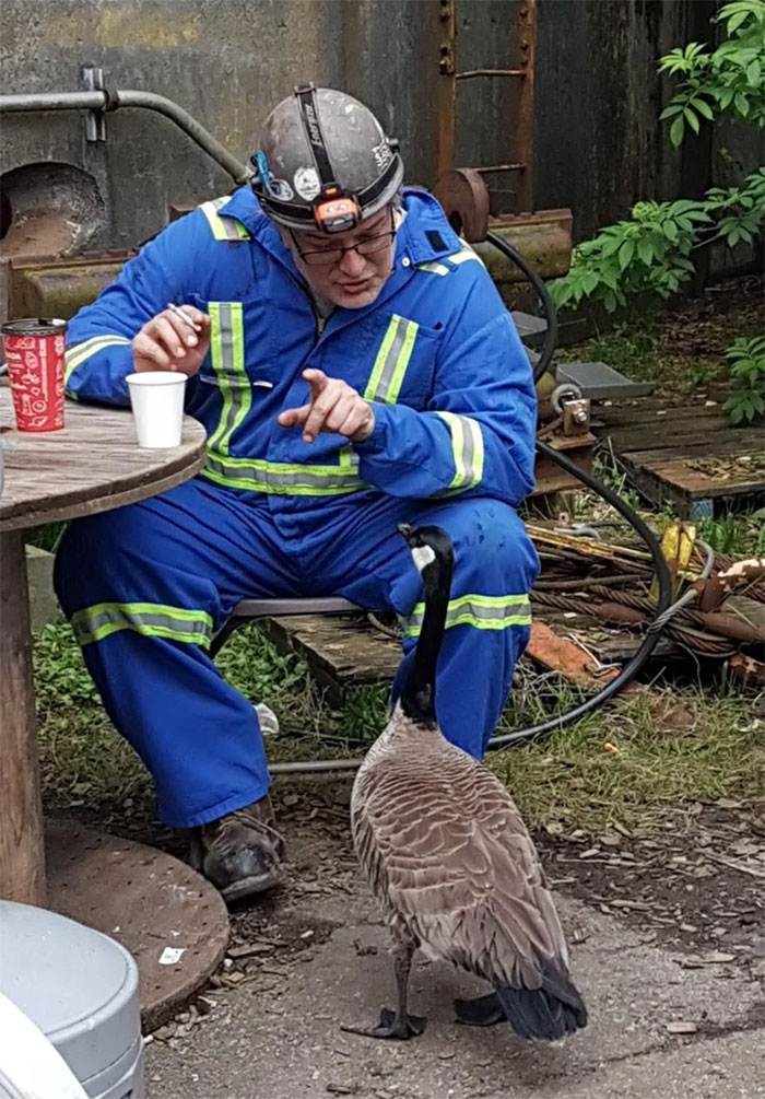 funny meanwhile in canada pictures 11 5d4157d95d88c 700 5d4d418d10d86 700