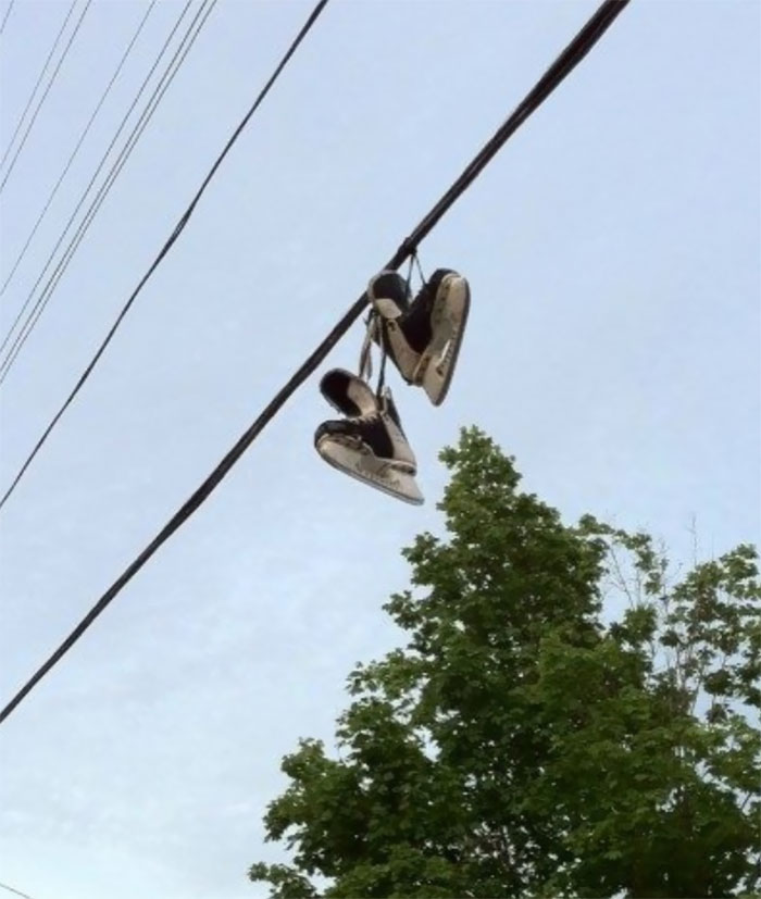 funny meanwhile in canada pictures 39 5d4923203418b 700 5d4d42743d8fb 700