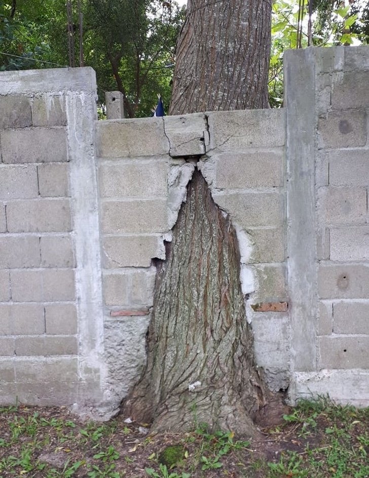 13894760 image crop 640x830 1587288728 728 58ab9180bf 1588958124 13894760 image crop 640x830 1587288728 728 58ab9180bf 1588958124