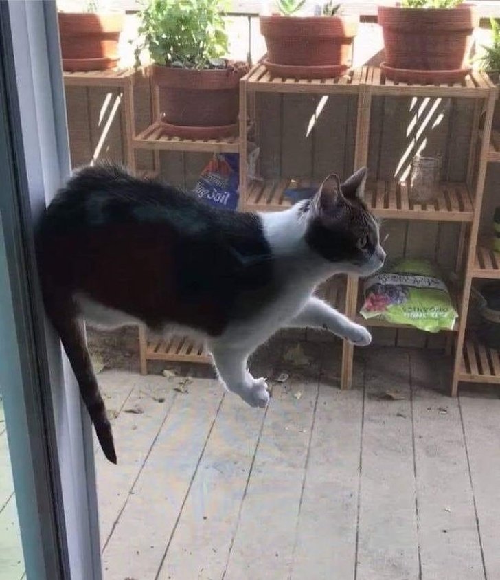 17 26